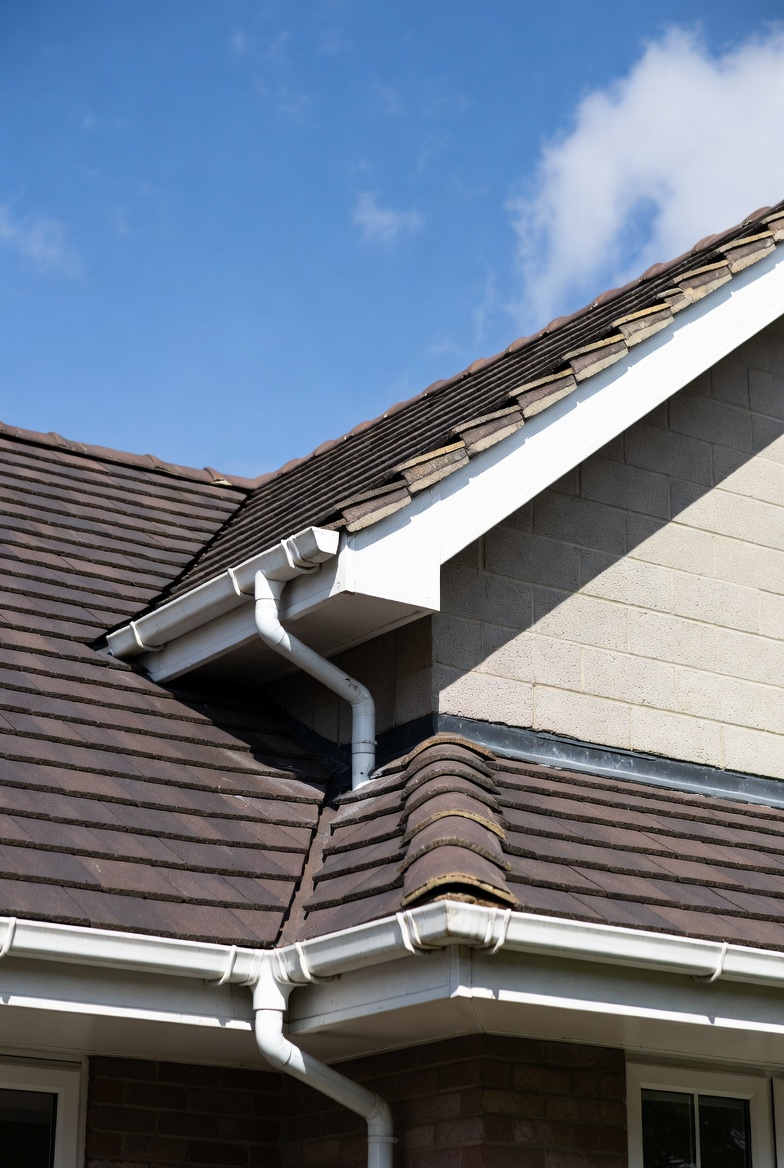 Gutter before cleaning
