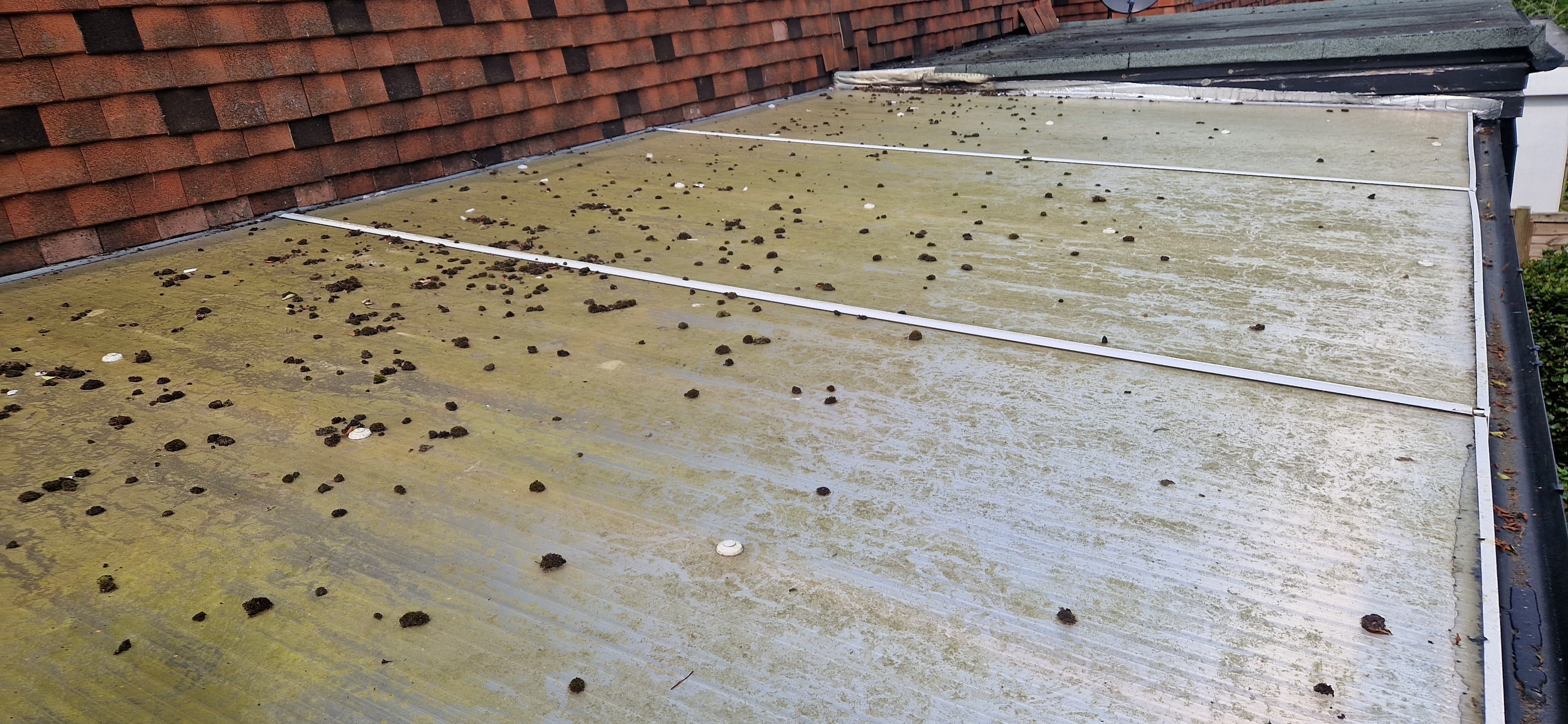Conservatory roof before cleaning
